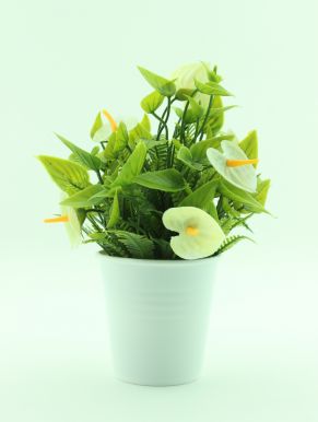 Растение декор. антуриум в горшке 12*12*18см S21-014