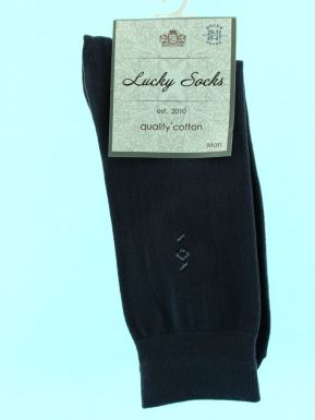 Lucky socks 0081-НМГ носки мужские (80/15/5) СЕРЫЙ, 29 / (29-31)