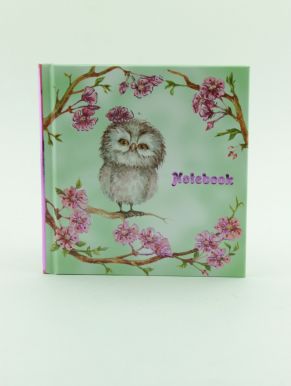 Записная книжка Notebook Милая сова, артикул: 50739