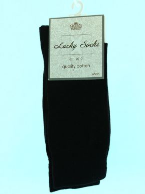 Брест носки мужские Lucky socks 0091-Нмг, цвет: черный, размер: 29