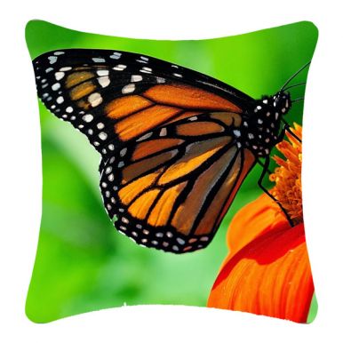 Подушка декоративная (полиэстер), размер: 45x45 см, дизайн бабочки, артикул: HZ1909240