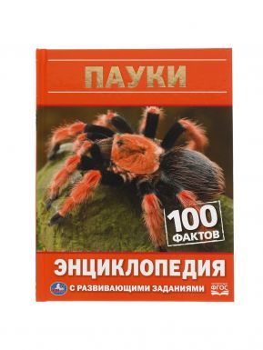 Энциклопедия с развивающими заданиями пауки 100 фактов