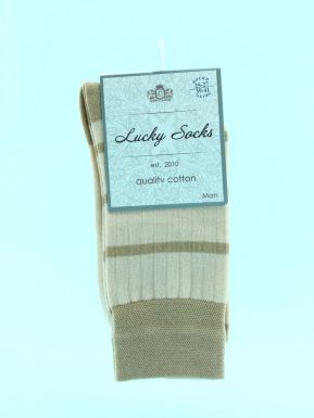 Брест носки мужские Lucky socks, цвета в ассортименте, размер: 25