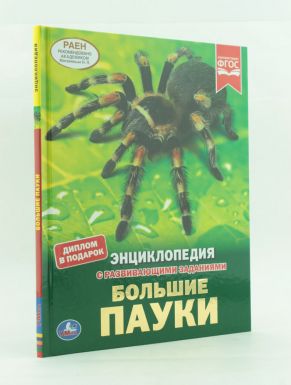 Умка Энциклопедия А4 Большие пауки
