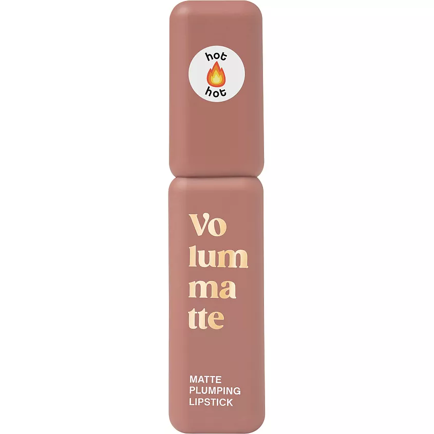 VIVIENNE SABO помада д/губ жидкая матовая устойчивая с плампингом volummatte т.02