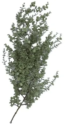 Декоративная гирлянда эвкалипта 1м EJ25508