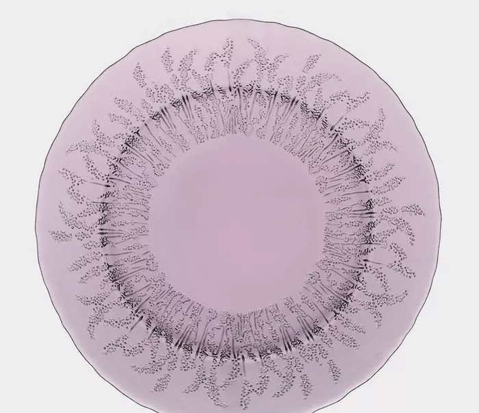 MAGISTRO Французская Лаванда тарелка обеденная 27см 9080469