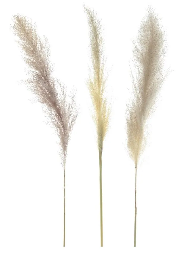Ветка сухоцвет 10*10*90см 788850