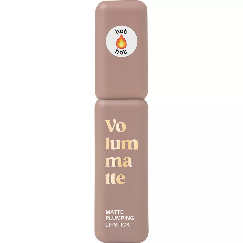 VIVIENNE SABO помада д/губ жидкая матовая устойчивая с плампингом volummatte т.01