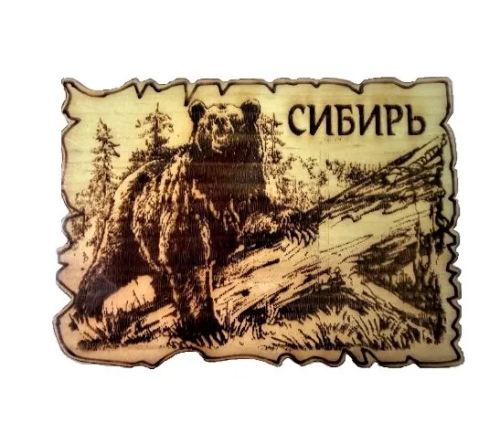 Магнит дизайн кедр сибирь медведь 5*9см