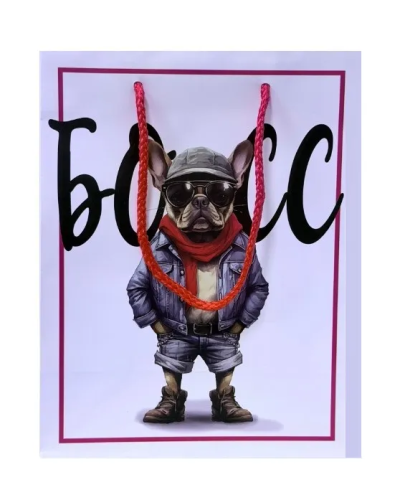 Пакет подарочный 18*23*10см босс 93877FE