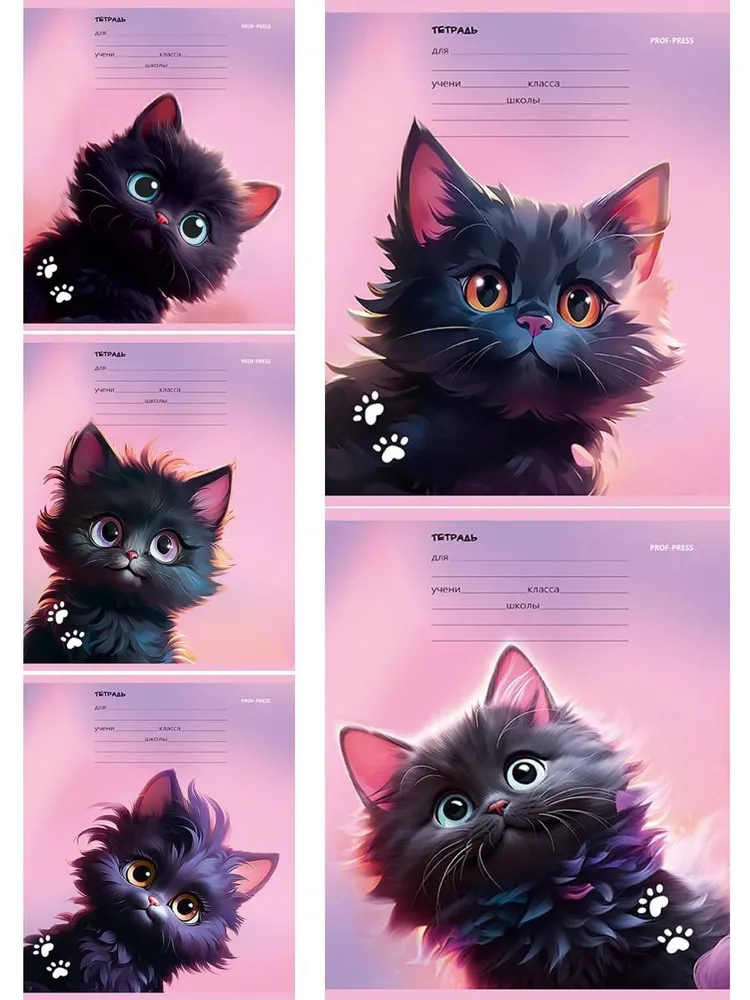 Тетрадь 12л линия черный котик Т12-2306