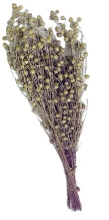 Букет из сухих колосовых культур лен цв.фиолетовый 40см