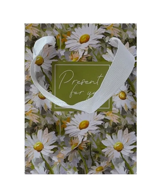 Пакет подарочный 9*12*6см present 10200577