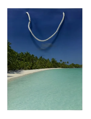 Пакет подарочный 40*30*12см Море EL231107739