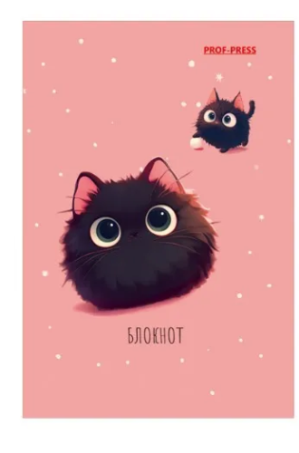 Блокнот А7 48л пушистик Б48-4714