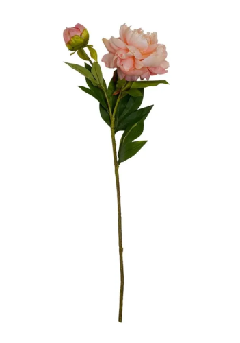 Цветок искусственный пион персиковый 67см HFW-38