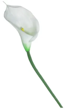 Цветок искусственный калла 70см 10922-9566