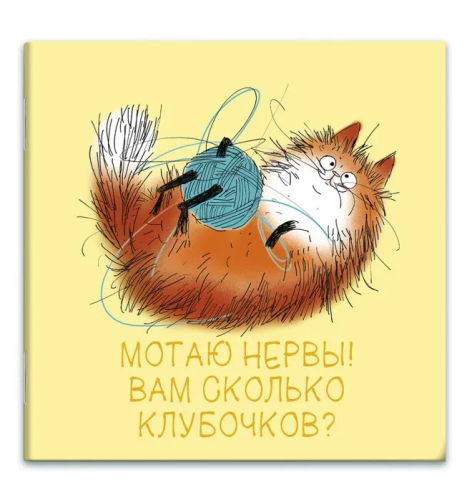 Блокнот 32л рыжий кот 13*13см 66166