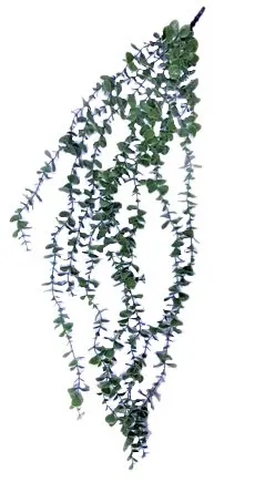 Декоративная ветка эвкалипта 80см EJ25513