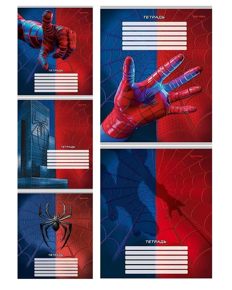 Тетрадь 12л клетка спайдер синий 12-1551