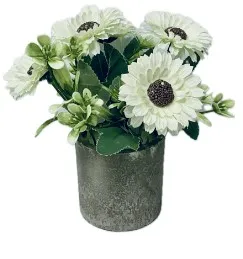 Гербера в кашпо EL230561