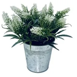 Растение декор. лаванда в горшке 24см 317002740