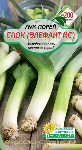 Семена лук-порей слон элефант 5г