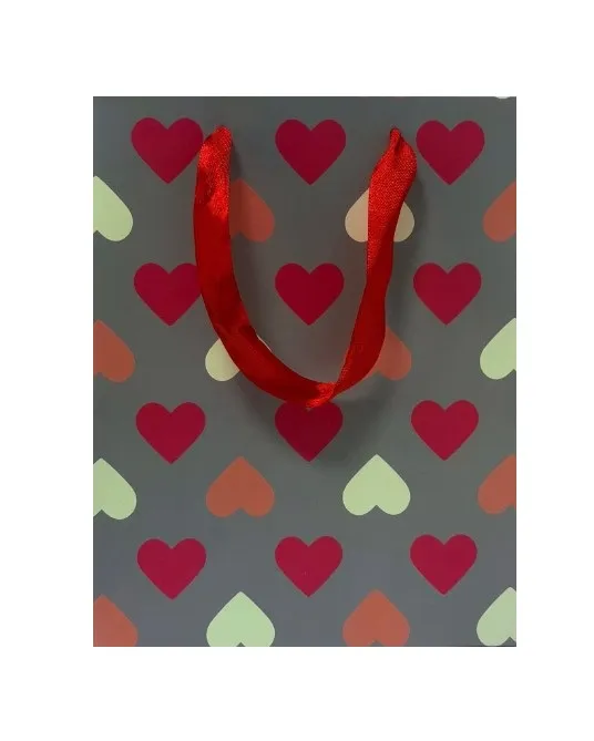 Пакет подарочный 23*18*10см Сердечки арт.EA225