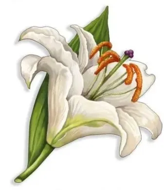 WOODSLOT брошь значок лилия br191