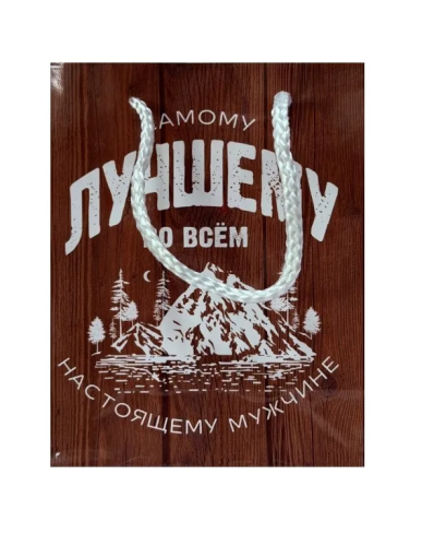 Пакет подарочный 12*15*6см самому лучшему во всём 6582724 (10)