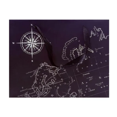 Пакет подарочный 23*18*10см путеводитель 4733840 (10)