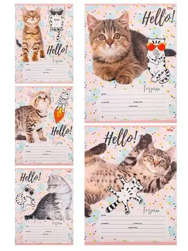 Тетрадь 12л клетка забавный котик-1 12-4374