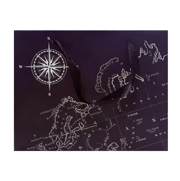 Пакет подарочный 23*18*10см путеводитель 4733840 (10)