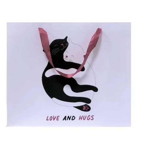 Пакет подарочный 23*27*11,5см дизайн обнимашки 7183900