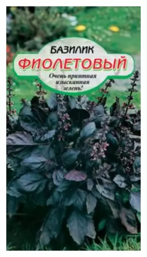 Семена базилик фиолетовый 5г