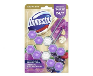 DOMESTOS туалетный блок power 5 сказочный аромат 2*50г