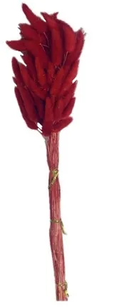 Набор сухоцветов лагурус 50шт 60см микс 2024-1375/272851