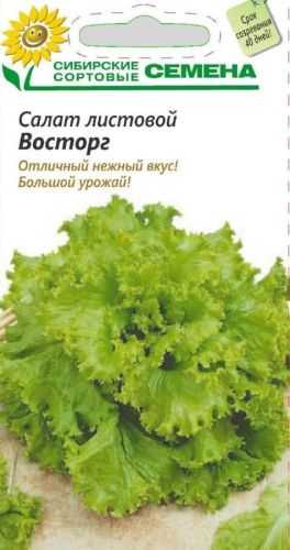 СИБИРСКИЕ СОРТОВЫЕ СЕМЕНА салат восторг листовой 5г