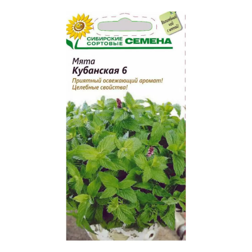 Семена мята кубанская 60 5г