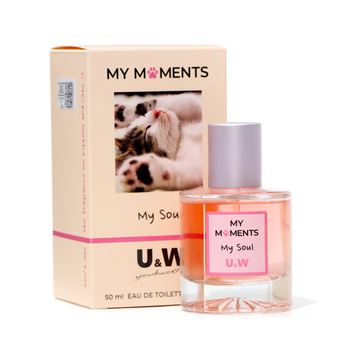 MY MOMENTS туалетная вода д/женщин my soul 50мл