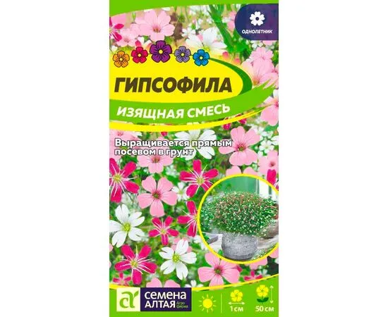 Семена гипсофила изящная смесь окрасок 3г