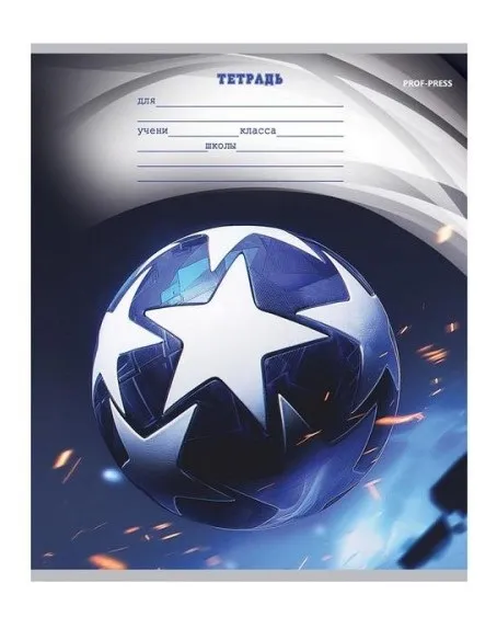 Тетрадь 12л линия разные мячи-3 Т12-4876