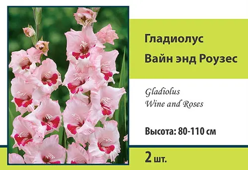 Семена гладиолус крупноцветковый вайн энд роузес 2шт