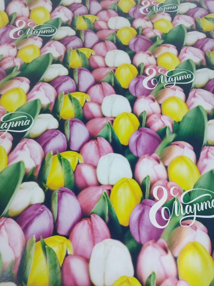 Бумага упаковочная 2-х сторонняя глянцевая дизайн тюльпаны 70*100см 5351672