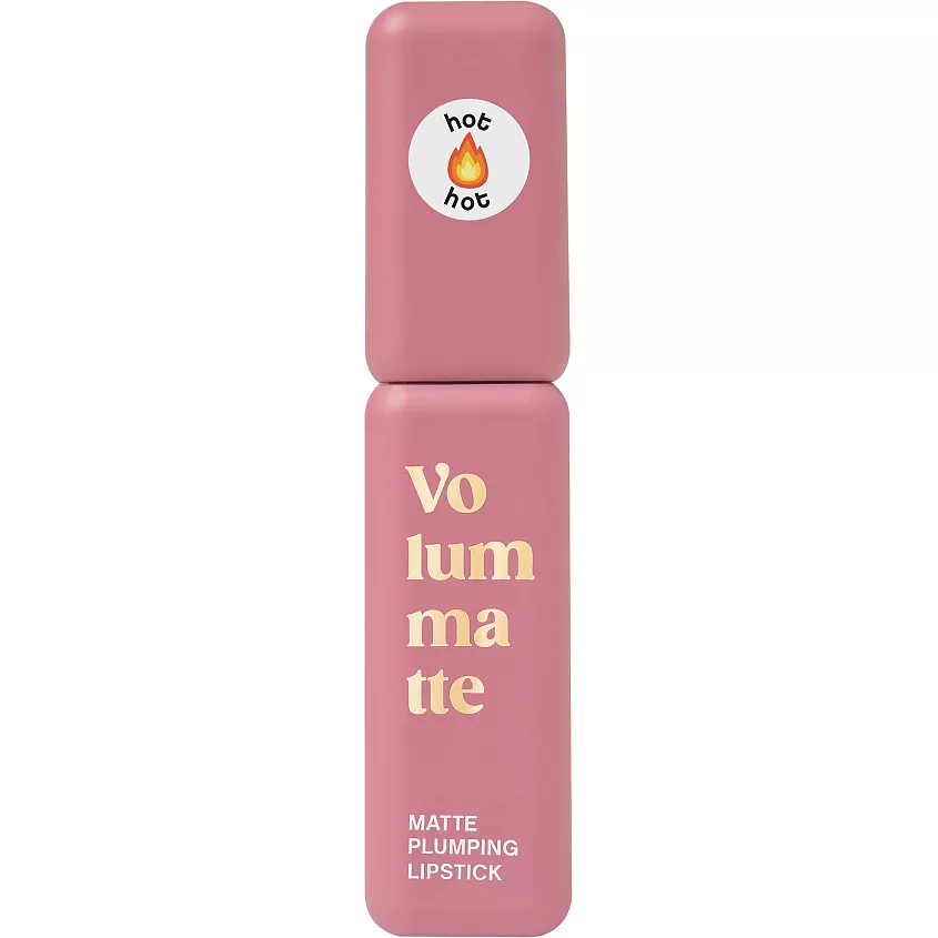 VIVIENNE SABO помада д/губ жидкая матовая устойчивая с плампингом volummatte т.06