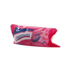 СВЕЖИНКА запасной блок к подвесному освежителю цветы 30г (24)