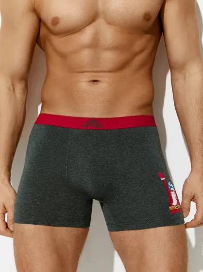 OMSA трусы мужские боксеры 1234-24B НГ санта grigio melange/rosso р.48/L