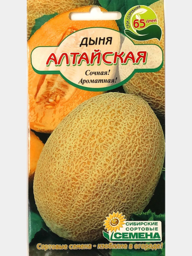 Семена дыня алтайская 10шт