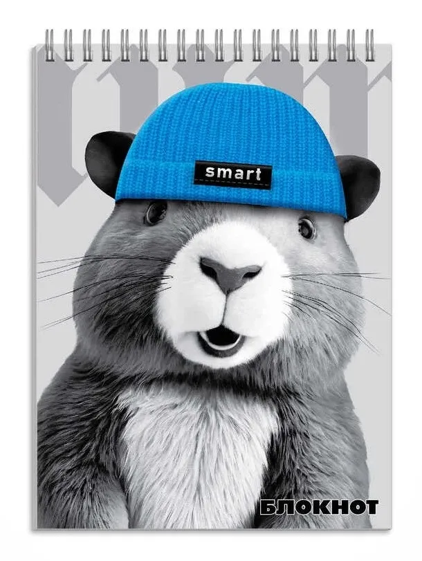 Блокнот А6 96л капибара в шапочке 70139